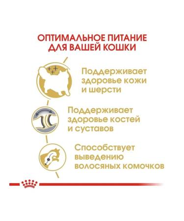 ROYAL CANIN Siberian Adult for adult Siberian cats 400 g - Buy Online on GoSupps.com