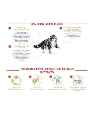 ROYAL CANIN Siberian Adult for adult Siberian cats 400 g - Buy Online on GoSupps.com