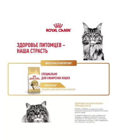 ROYAL CANIN Siberian Adult for adult Siberian cats 400 g - Buy Online on GoSupps.com