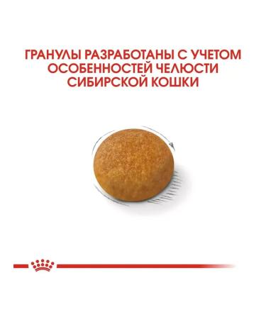 ROYAL CANIN Siberian Adult for adult Siberian cats 400 g - Buy Online on GoSupps.com