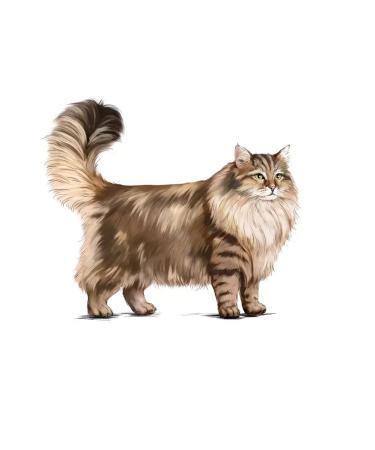 ROYAL CANIN Siberian Adult for adult Siberian cats 400 g - Buy Online on GoSupps.com