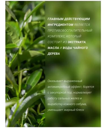 medipeel Wheezero with tea tree Dutch tea a.c Calming Serum - Buy Online on GoSupps.com