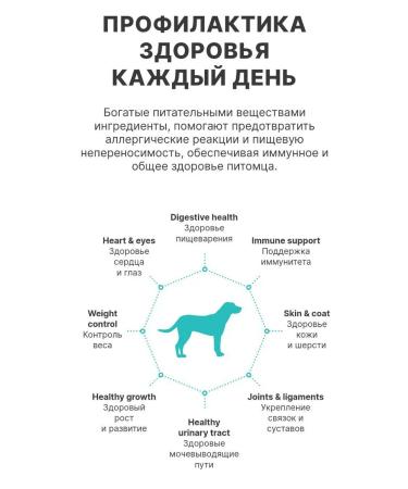 PREMIER For large dogs lambs turkey 3kg - Buy Online on GoSupps.com