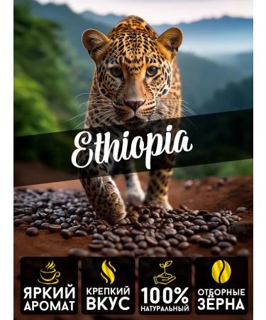 Coffee Bean Coffee in grains 1 kg of arabica 100% Jimma Ethiopia - Buy Online on GoSupps.com