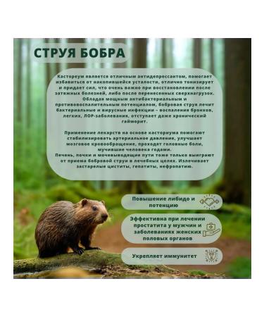 Gift of the Taiga Premium infusion stream of beaver - 45% marala panta - 45% bile ... - Buy Online on GoSupps.com