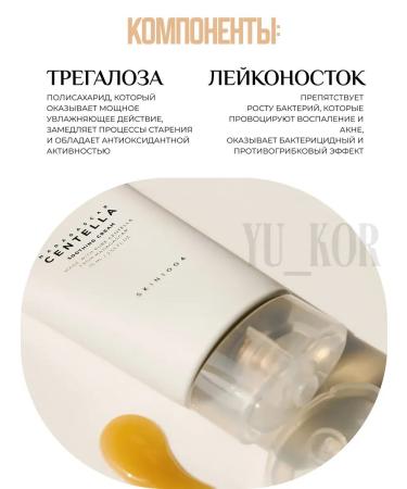 SKIN1004 Sewer Cream Madagascar Centella Soothing Cream 75ML - Buy Online on GoSupps.com