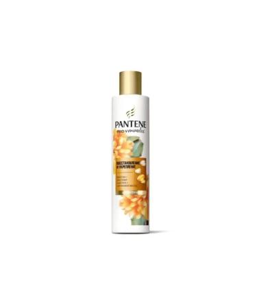 PANTENE Hair restoration shampoo 250 ml 2 pieces - Buy Online on GoSupps.com
