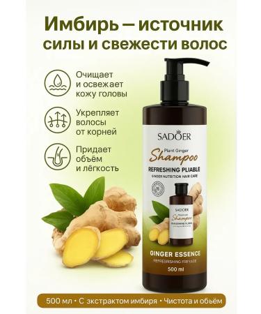 AIX Hair set shampoo and air conditioning from ginger extract - Buy Online on GoSupps.com