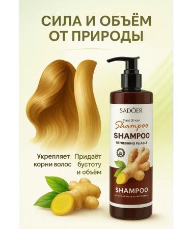 AIX Hair set shampoo and air conditioning from ginger extract - Buy Online on GoSupps.com