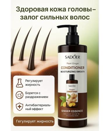AIX Hair set shampoo and air conditioning from ginger extract - Buy Online on GoSupps.com