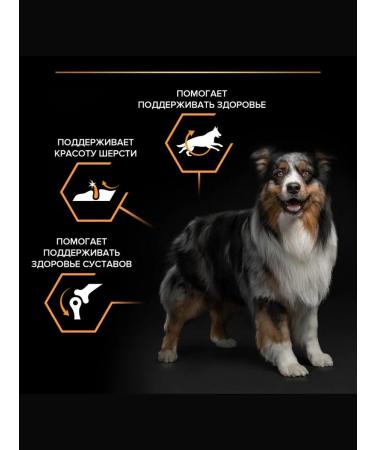 PRO PLAN Dry food for adult medium dogs chicken 14kg - Buy Online on GoSupps.com