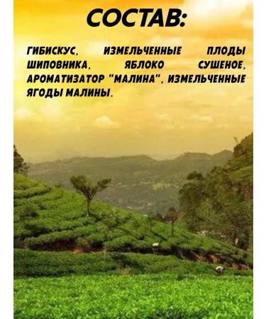 Greenfield Summer Bouquet Tea Herbalon 2 packs of 25 bags - Buy Online on GoSupps.com