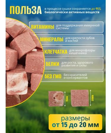 VYALNITSA Light beef of dogs for dogs sublimated - Buy Online on GoSupps.com