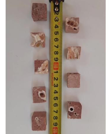 VYALNITSA Light beef of dogs for dogs sublimated - Buy Online on GoSupps.com