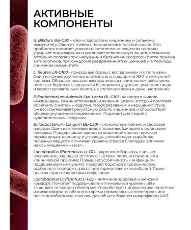 Probiotics and prebiotics of Linni hepanorm for the liver 30 Sasha - Buy Online on GoSupps.com