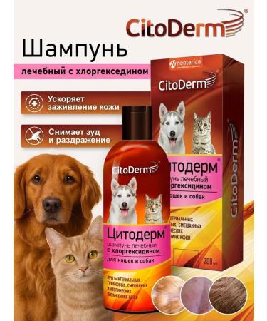 Neoterica Citoderm chlorhexidine shampoo for cats and dogs 200 ml - Buy Online on GoSupps.com