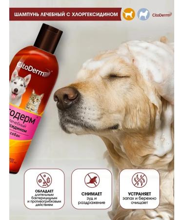 Neoterica Citoderm chlorhexidine shampoo for cats and dogs 200 ml - Buy Online on GoSupps.com