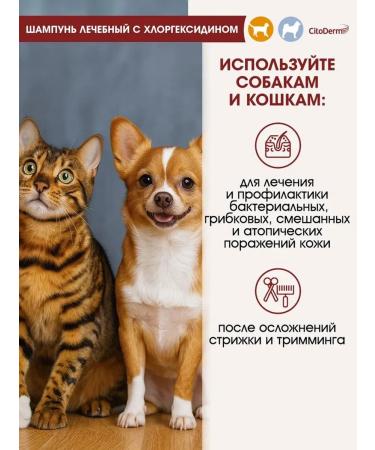 Neoterica Citoderm chlorhexidine shampoo for cats and dogs 200 ml - Buy Online on GoSupps.com