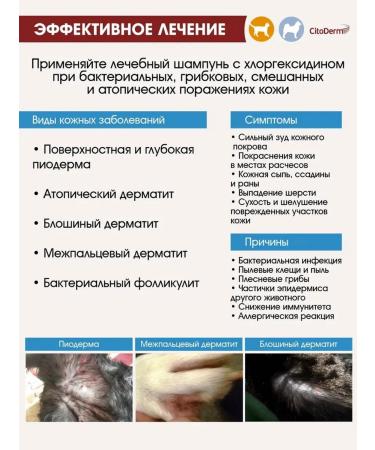 Neoterica Citoderm chlorhexidine shampoo for cats and dogs 200 ml - Buy Online on GoSupps.com