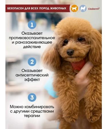 Neoterica Citoderm chlorhexidine shampoo for cats and dogs 200 ml - Buy Online on GoSupps.com