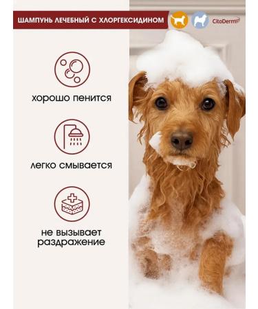 Neoterica Citoderm chlorhexidine shampoo for cats and dogs 200 ml - Buy Online on GoSupps.com