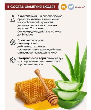 Neoterica Citoderm chlorhexidine shampoo for cats and dogs 200 ml - Buy Online on GoSupps.com