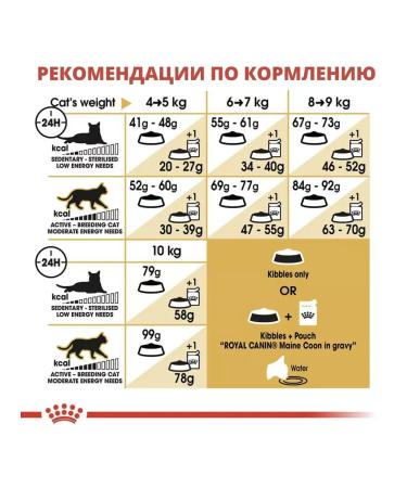 ROYAL CANIN Main Coon Adult for adult cats Maine Kun 400 g - Buy Online on GoSupps.com