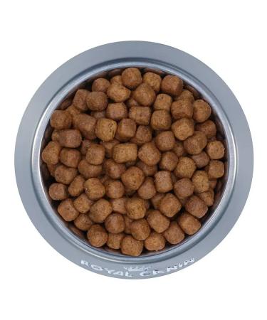 ROYAL CANIN Main Coon Adult for adult cats Maine Kun 400 g - Buy Online on GoSupps.com
