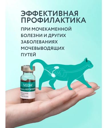 VEDA MKB prevention tool for cats and dogs 2 pack Coterwin - Buy Online on GoSupps.com