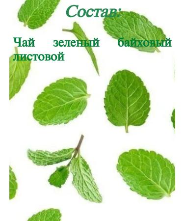 FOODFEST Green Tea Classic tea green 4 packs of 200 g - Buy Online on GoSupps.com