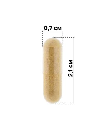 Russian roots Cordyceps capsule mycelium and fruit body 90 pcs 400 mg - Buy Online on GoSupps.com