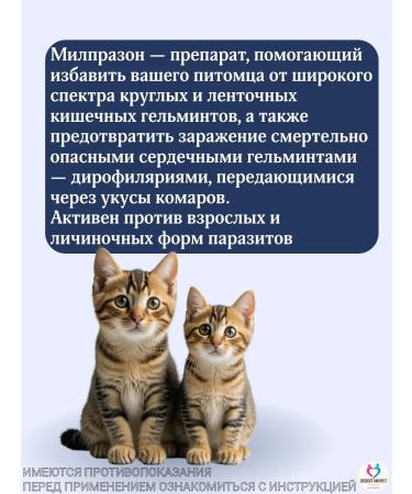 KRKA Milprazone tablets for cats up to 2 kg - Buy Online on GoSupps.com