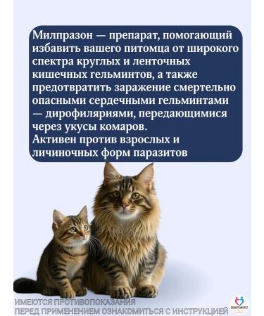 KRKA Milprazone tablets for cats more than 2 kg - Buy Online on GoSupps.com