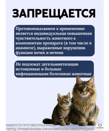 KRKA Milprazone tablets for cats more than 2 kg - Buy Online on GoSupps.com