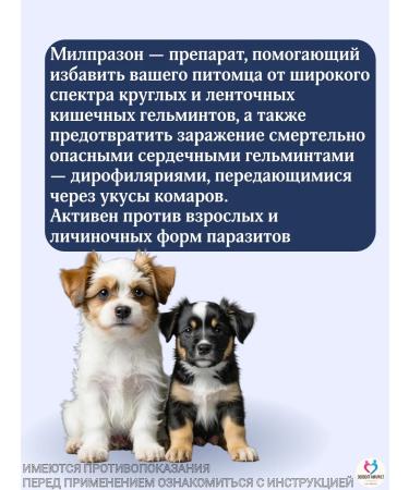 KRKA Milprazone Dog tablets up to 5 kg - Buy Online on GoSupps.com