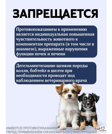 KRKA Milprazone Dog tablets up to 5 kg - Buy Online on GoSupps.com