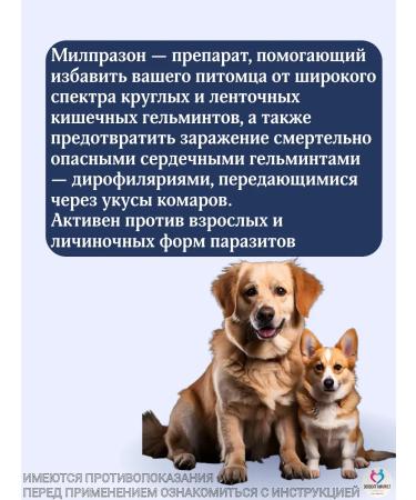 KRKA Milprazone Dog tablets more than 5 kg - Buy Online on GoSupps.com