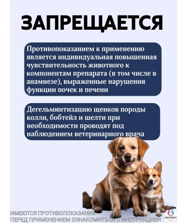 KRKA Milprazone Dog tablets more than 5 kg - Buy Online on GoSupps.com