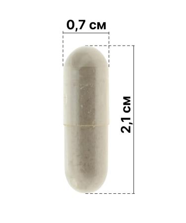 Russian roots Ezhovik Channel capsules of mycelium and fruit body 90 pcs - Buy Online on GoSupps.com