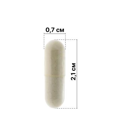 Russian roots Enzymes of TTTOKINAZ + Serrapeptase 60 capsules of 400 mg - Buy Online on GoSupps.com