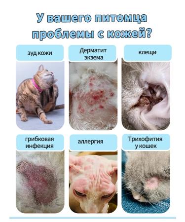 Spray for cat skin to eliminate itching 100 ml - Buy Online on GoSupps.com