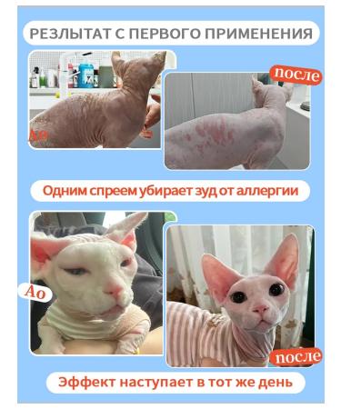 Spray for cat skin to eliminate itching 100 ml - Buy Online on GoSupps.com