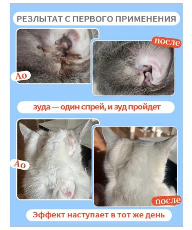 Spray for cat skin to eliminate itching 100 ml - Buy Online on GoSupps.com