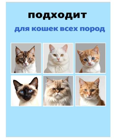 Spray for cat skin to eliminate itching 100 ml - Buy Online on GoSupps.com