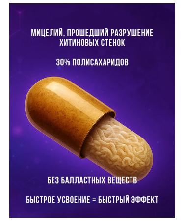 POTION MAKER Ezhovik crested nootropic Archivarius from - Buy Online on GoSupps.com