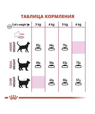 ROYAL CANIN Dry food for adult cats Aroma Exigent 4 kg - Buy Online on GoSupps.com