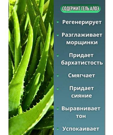 Nevskaya Cosmetics Moisturizing aloe cream 40 ml 3 pcs - Buy Online on GoSupps.com