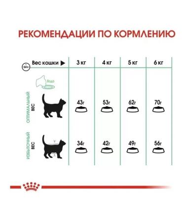 ROYAL CANIN Digestive Care 4 kg - Buy Online on GoSupps.com