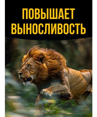 Tigers perstigious life Prestigious life of a tiger causative agent - Buy Online on GoSupps.com