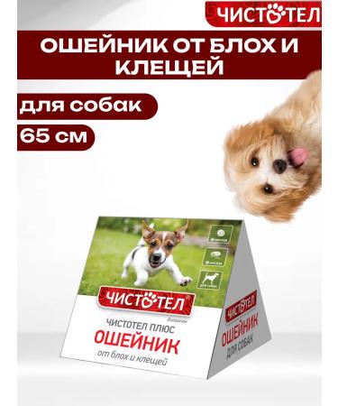 Celandine Plus a house collar from fleas and ticks 65 cm for dogs